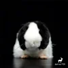 Guinea Pig Plush Toy High Fidelity  Cavy Plushie Hamster Peluche Lifelike Stuffed Animals Simulation Doll Kawai Toy Gifts Kids 3