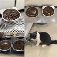 Cat Bowls Tilted Neck Guard Cat Food Bowl Indoor Stainless Steel Shatter Resistant Elevated 15° Pet Bowl For Kitten Puppy 5