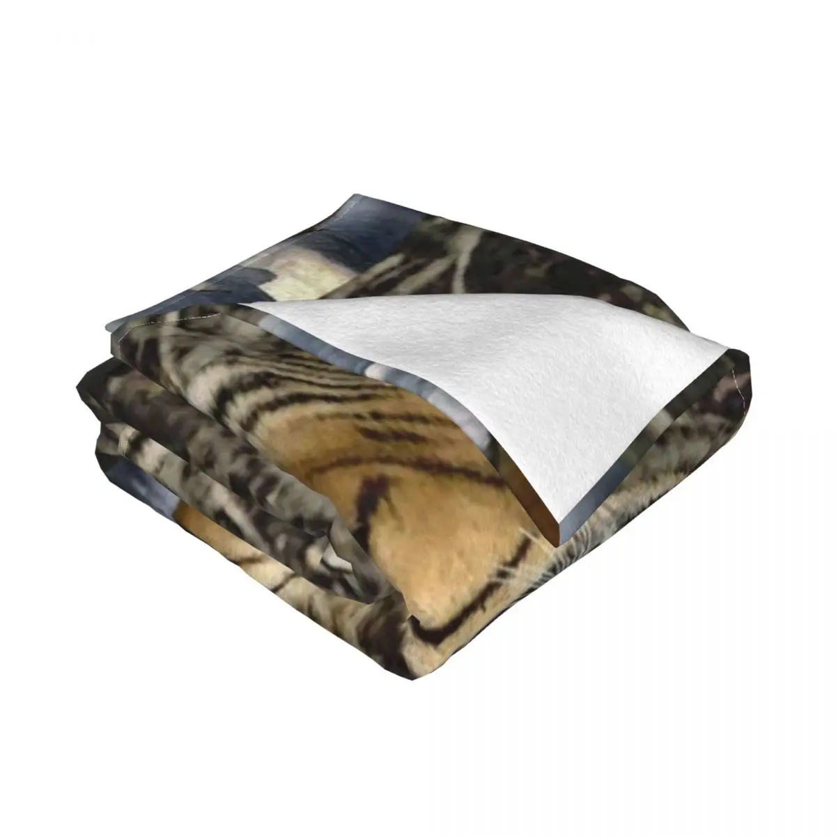 �ú����� ȣ���� ��ȣ�� ��Ʈ ���� ������ ���, �Ϳ��� ���� ���, �� ���