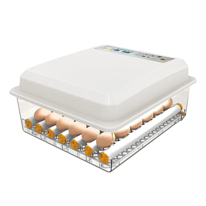 Factory Directly Supply Inqubator Chicken Egg Incubator 36 Eggs Hatching Machine Farm