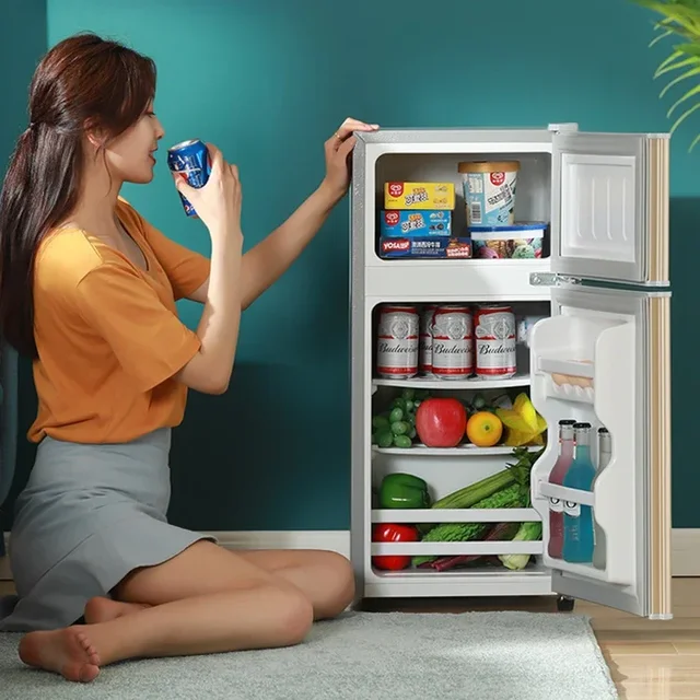 household use new Small refrigerator , small dormitory rental, mini energy-saving office, double door refrigerator 1
