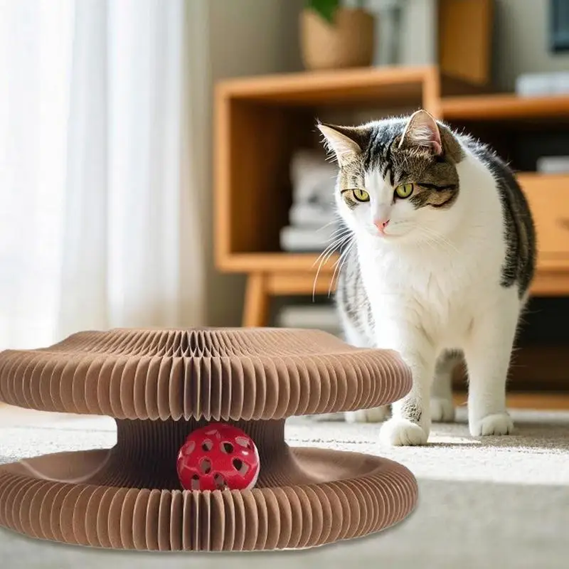 Organ Cat Scratcher Board Cat Toys Scratching with Bell Ball Pet Enrichment Play Game for Small Medium Animals