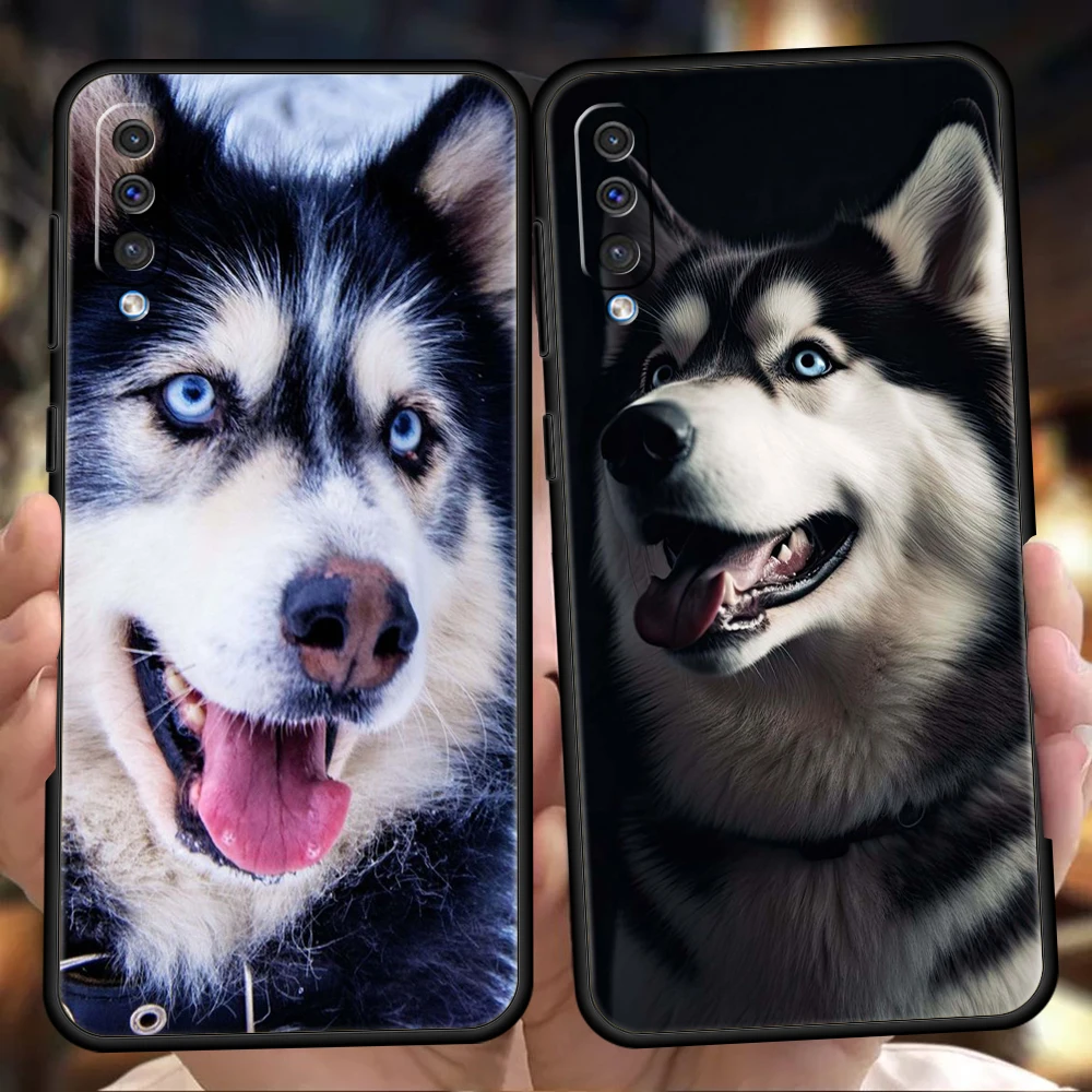 Siberian Husky Sled Dog Handyhülle für Samsung Galaxy A24 A13 A53 A73 A33 A22 A12 5G A02 A03 A70 A50 A10 A20 A30 Silikonhülle
