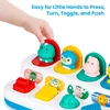 Baby Toys 6 to 12 Months Pop Up Animals Cause and Effect Toy Switch Box Baby Montessori Early Learning Development Sensory Toy 3