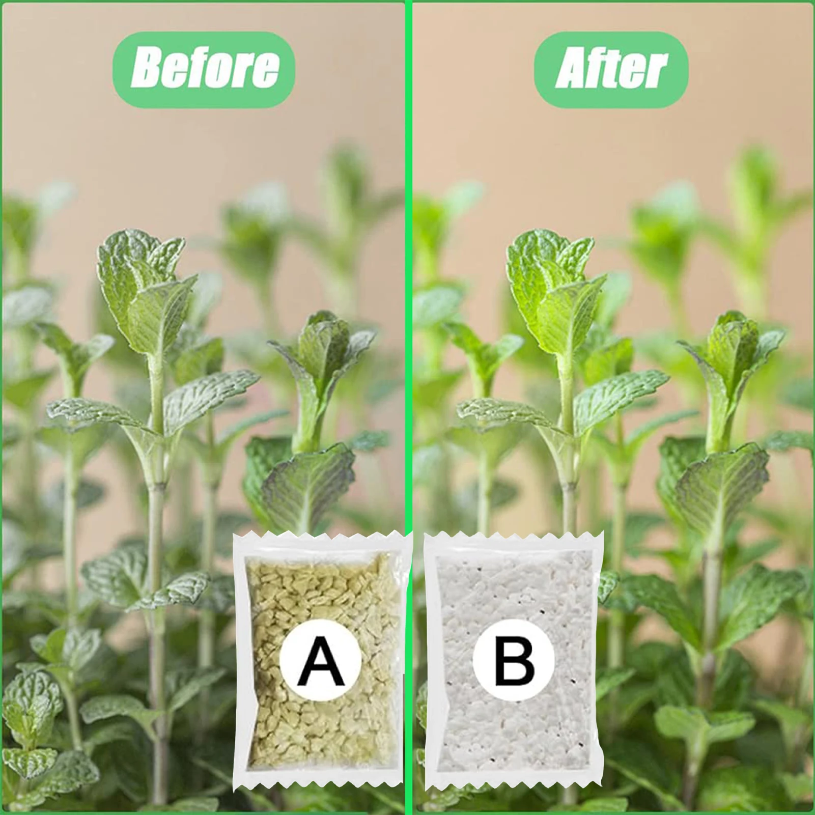 Plant Nutrient Solution Hydroponic Plant Nutrient Fertilizer Non-Polluting All-Purpose Formula A+B Two Part Set
