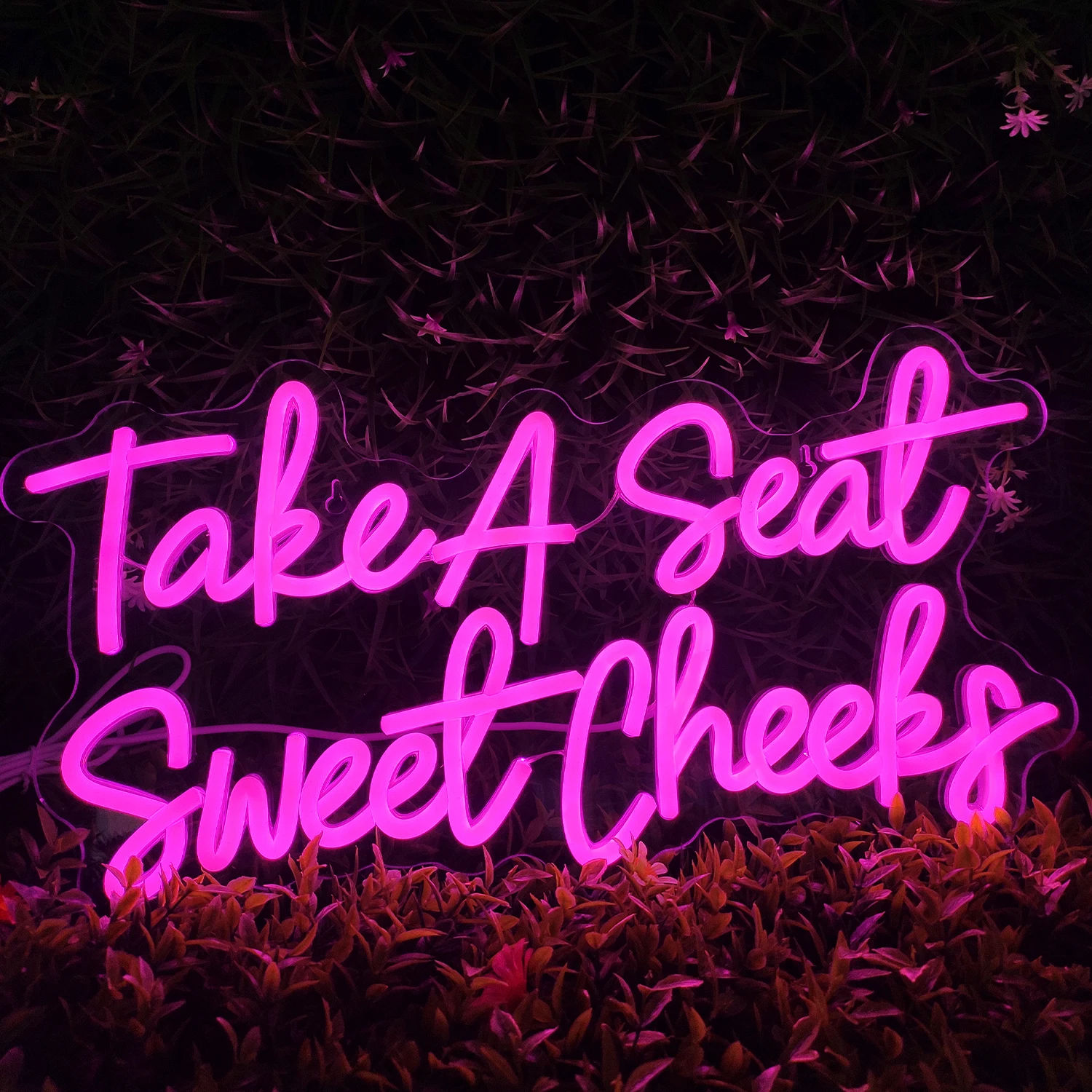 Take A Seat Sweet Cheeks Neon Light LED Neon Sign for Wall Deco Glass Shaped for Bar Restaurant Party Shop Window Store for Cafe