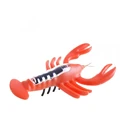 Image 15