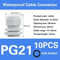 PG21-white