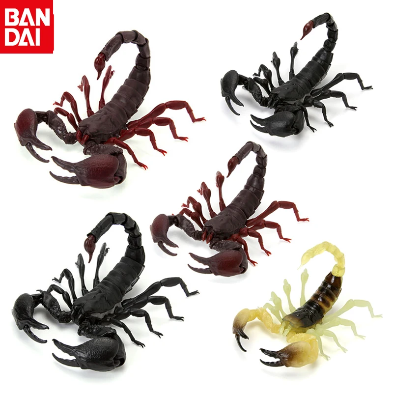 

BANDAI, модель скорпиона, гид по биологии, Скорпион, лиохелы, австралийские искусственные насекомые, активные суставы, детская игрушка