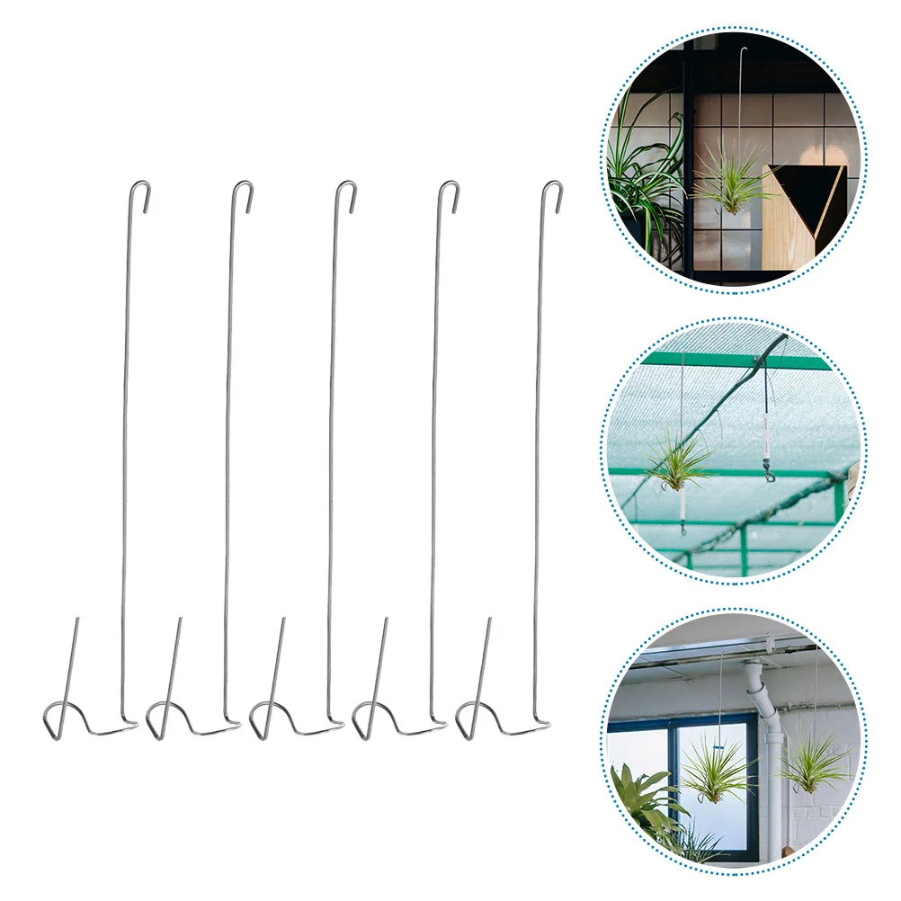 

5 Pcs Air Pineapple Hook Plants Hanging Display Hanger for Tillandsia Balcony Holders Stainless Steel Shelf Rack