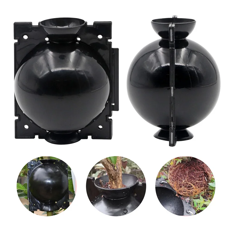 10Pcs Plant Rooting Ball Propagation Rooting Box Reusable Plant Root Growing Box Cuttings Grafting Propagation Pots