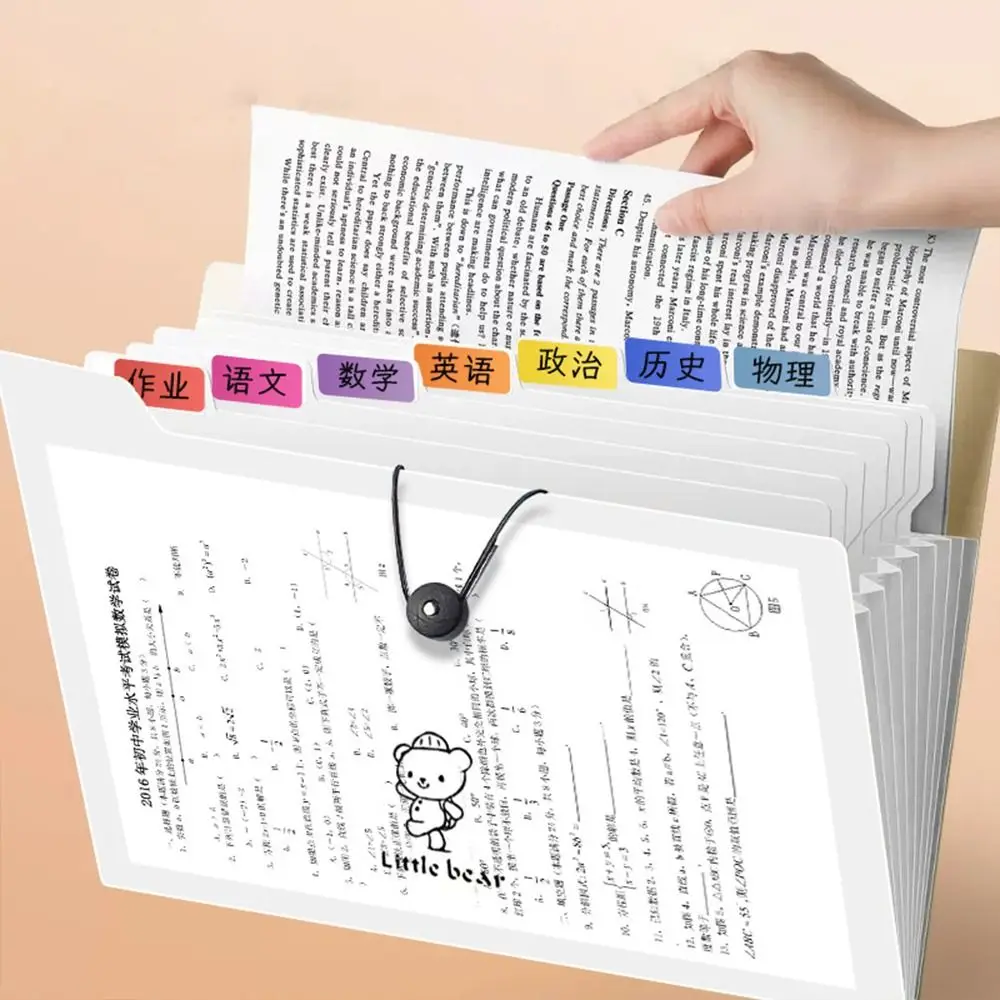 Cartella Espandibile Multistrato A4, Borsa Portadocumenti ad Alta Capacità, Organizzatore di File A4, Cartella Portadocumenti Impermeabile Traslucida per Progetti