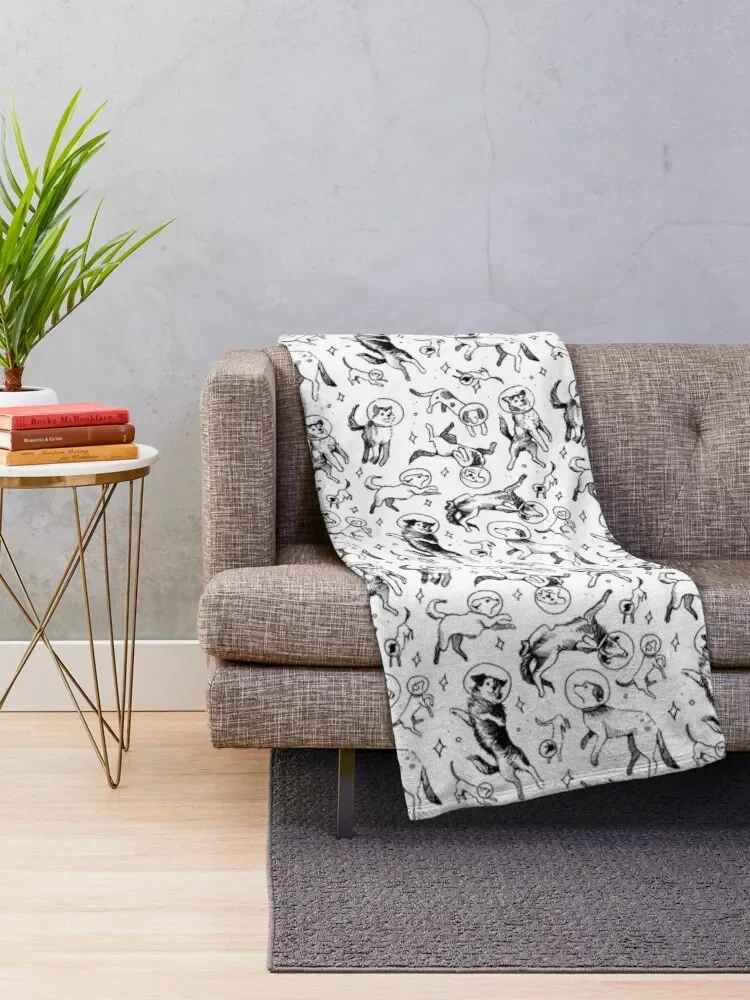 ���ְ� ������ ���, ũ�������� ����, ħ�� ����, ħ�� ���� ����, ������ ���