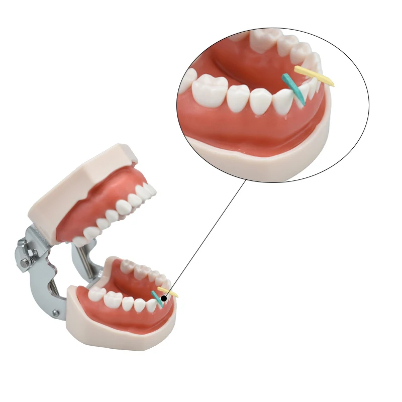 

600Pcs/box Dental Wedges Refill Wedge for Sectional Matrix System S/m/l Disposable Plastic Wedges Dentistry Materials