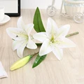 58 - White