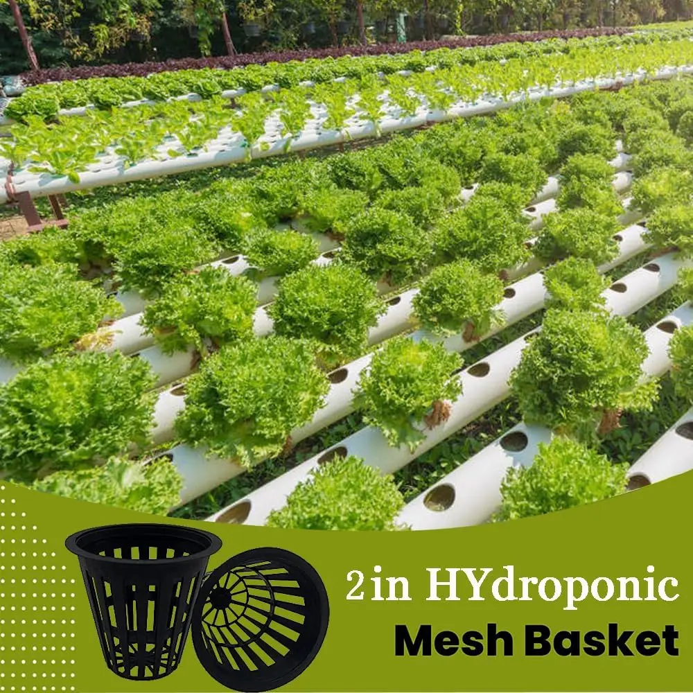 2 Inch Heavy Duty Net Pots Hydroponic Cups Garden Slotted Mesh Net Cups Plant Nursery Pots 50/100Pcs for Hydroponics