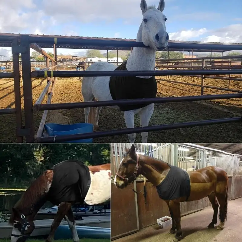 Stretch Horse Shoulder Guard AntiRub Bib Horses Chest Saver Wither Protector Breathable Horse Rugs for Equestrian Sport