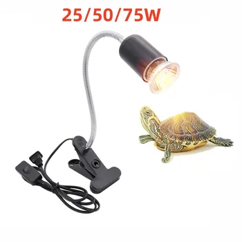 Reptile UV Heat Lamp 1