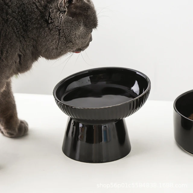 Luxury Brand Designer Dog Bowl Bowls With Placemat Puppy Cat Feeder  Non-slip Crash French Bulldog Bowl For Small Dogs - AliExpress