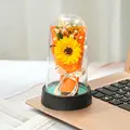 7 orange