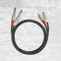 2x6.35 to 2xRCA