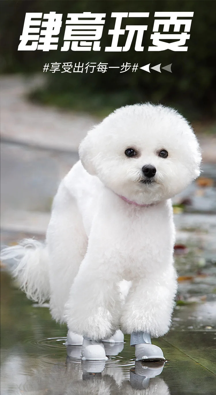 Title 3, Pet Dog Soft Shoes Teddy Bomei VIP Bear Soft Sh...