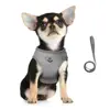 Cat Harness Lead Leash Set Adjustable Reflective Escape Proof Pet Mesh Vest Harness Puppy Dog Collar Small Dog Cat Pet Supplies 4