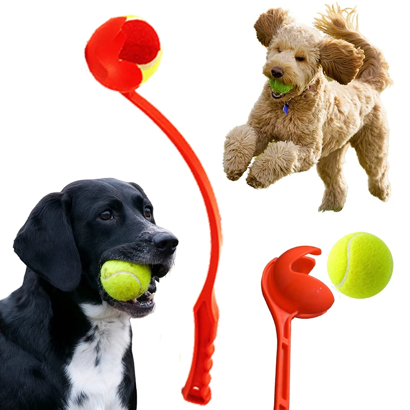 Dog Ball Stick