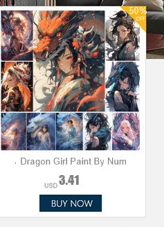 Description Picture 6 of itemFlowers Rose Tuilp Poppy DIY Painting By Numbers Set Oil Paints 40*50 Picture By Numbers Photo Decorative Paintings For Adults