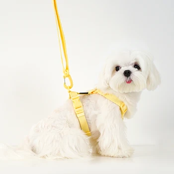 Adjustable Reflective Dog & Cat Harness Collar Leash Set 2