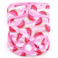 Sweet Watermelon