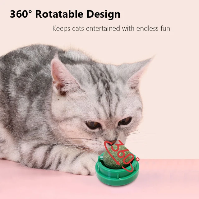 Spinning Catnip Mint Ball for Cats, Interactive Dental Care Chew Toy with Natural Catnip, Hairball Control Kitten Cat Toys 3