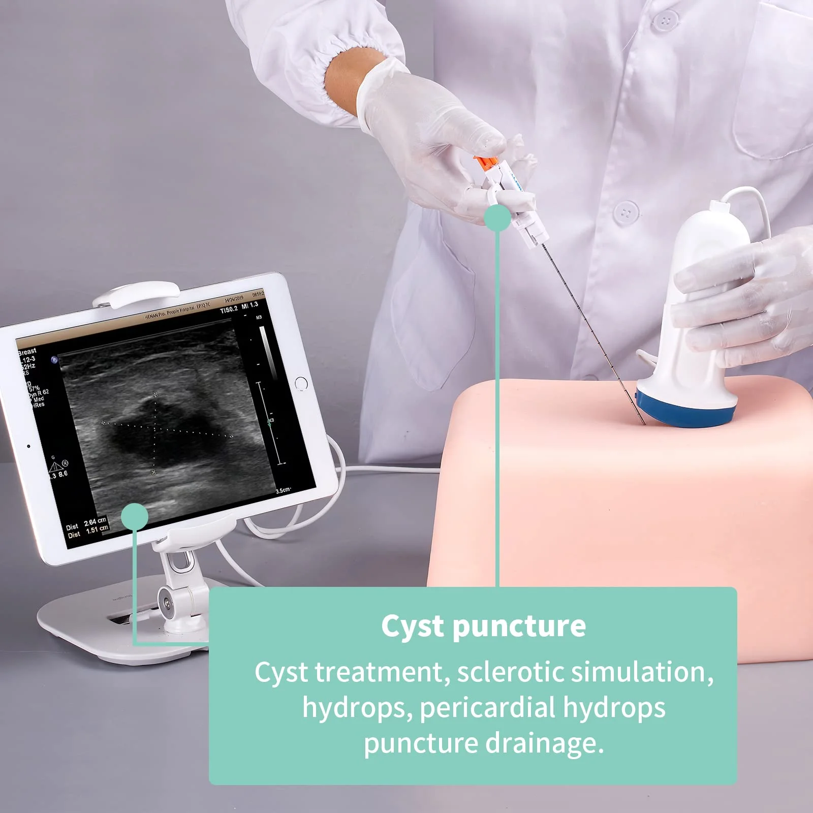 

Ultrasound Puncture Phantom Abdominal 6 Simulated Lumps Inside for Biopsy Cyst Puncture Teaching Practical Training