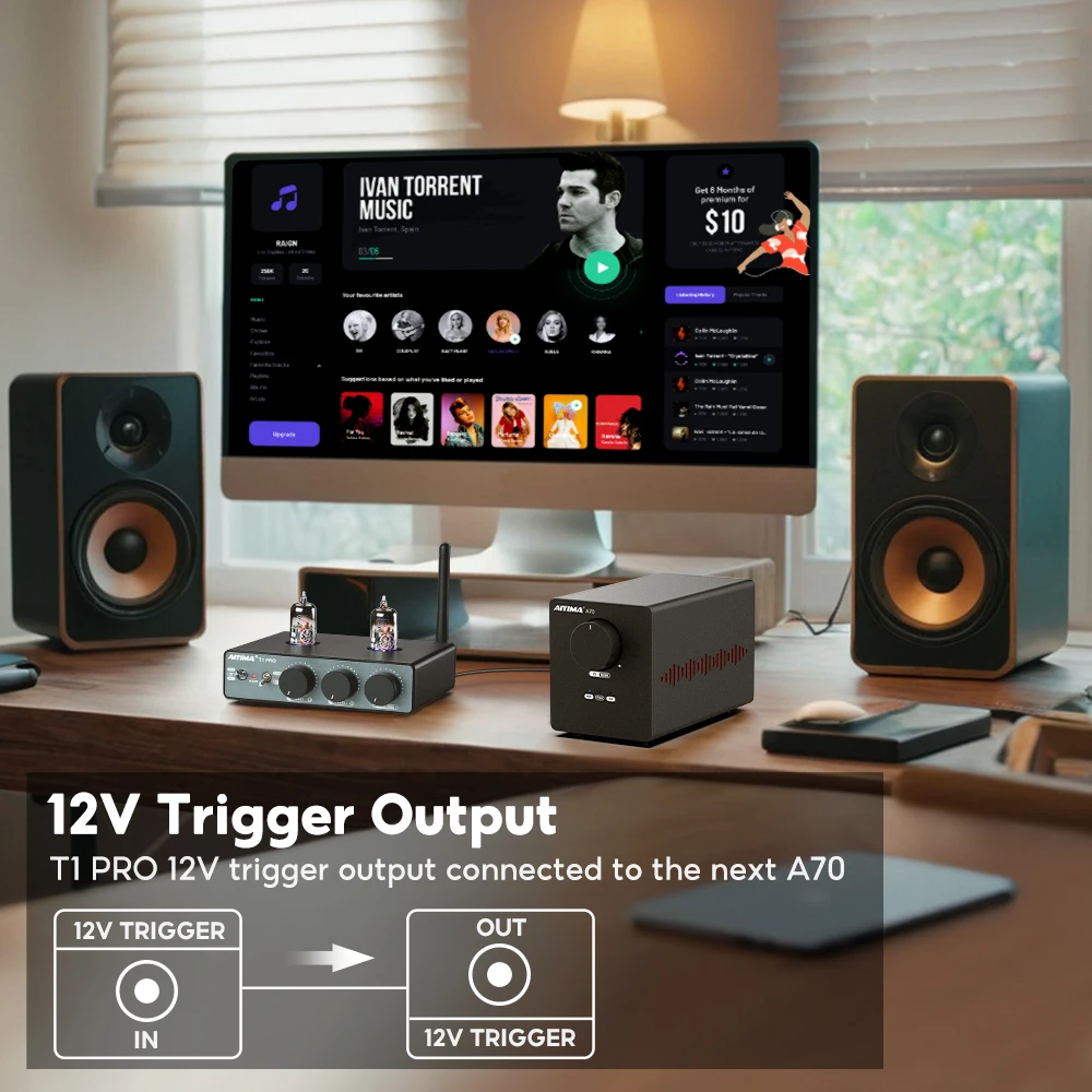 AIYIMA T1 PRO Vacuum Tube Preamplifier Amplifiers Home Audio RCA Bluetooth Input Bass Treble Control HiFi Stereo AUX 12V Trigger 4