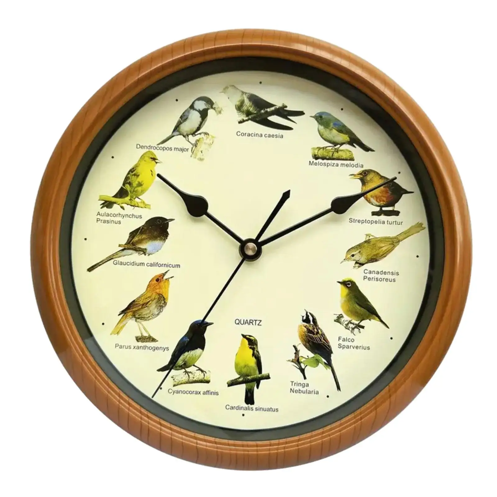 Singing Bird Wall Clock Silent that Sings on Hour Round Decorative Wall Clock for Kitchen Living Room Office Home Decoration