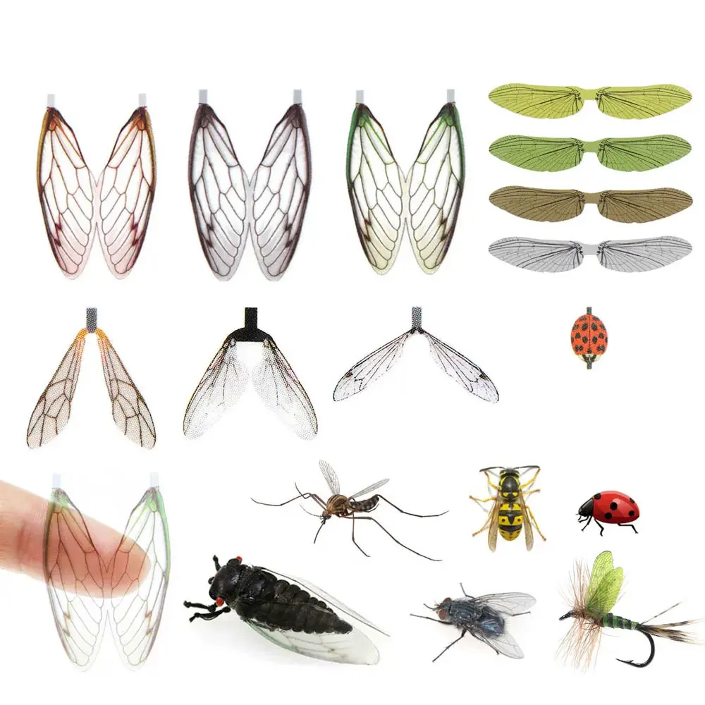 1 Blatt realistisches Insektenflügel-Material zum Fliegenbinden: Steinfliege, Maifliege, Trockenfliege, Marienkäfer, Wespe, Zikade, Flaschenfliege für Forellen-Angelköder