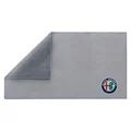 Gray big