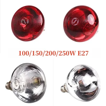 Poultry Brooder Heat Bulb 1