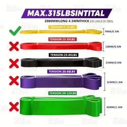 Enhanced Fitness Resistance Bands and Straps for Strength Training, Exercise, and Home Gym Workouts (5 - 15lb)