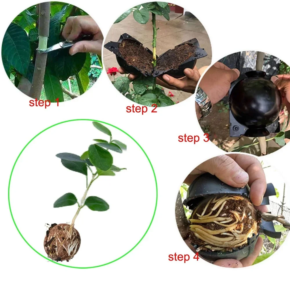 10PCS Plant Rooting Ball Air Layering Propagation Kit High Pressure Propagation Ball Growing Box For Garden Plant Grafting Tools