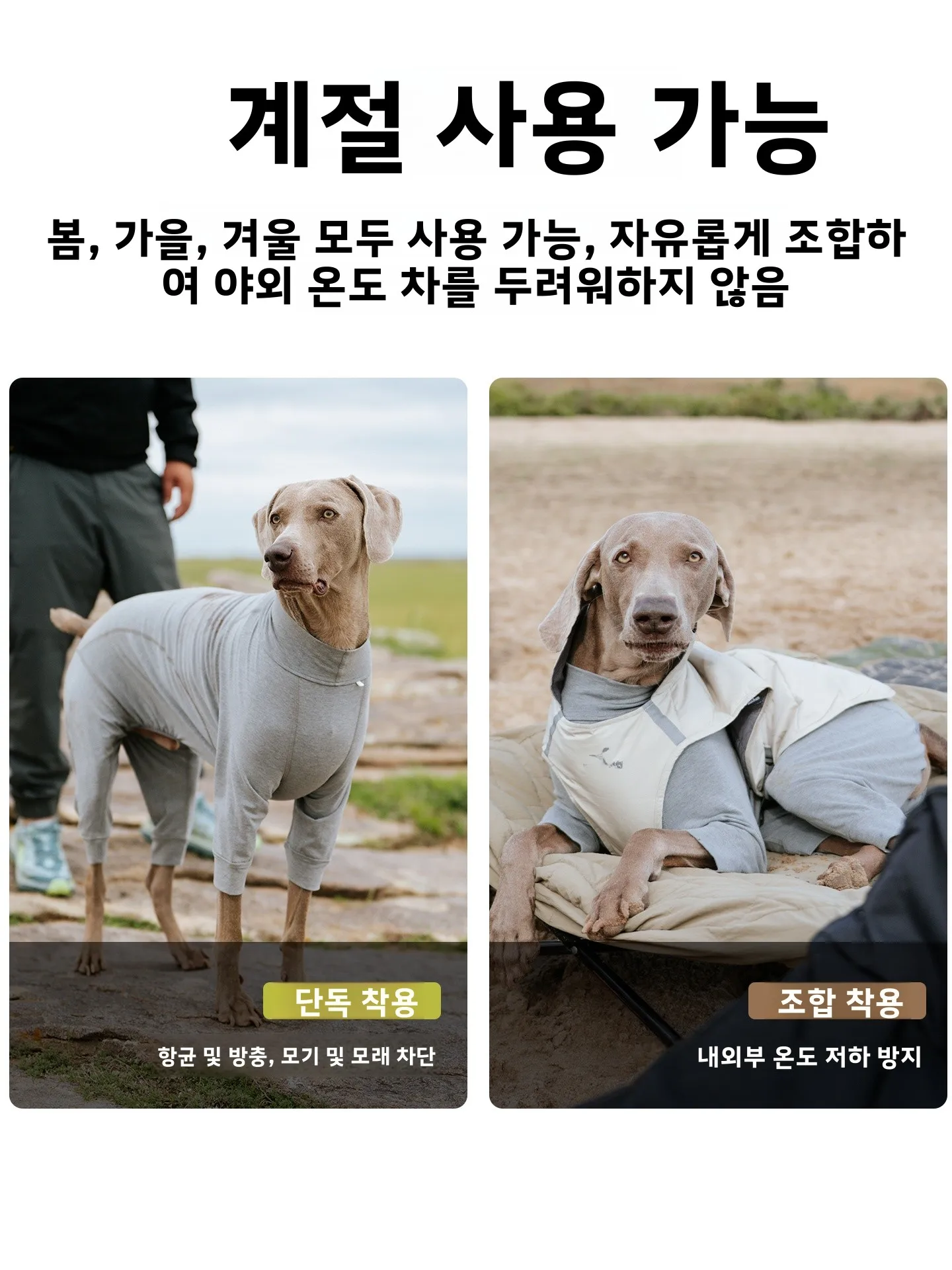 블랙도기 그래핀 웜코어 4족견 의류 애완동물 수면복 발열 온도조절 애완용품 강아지 옷