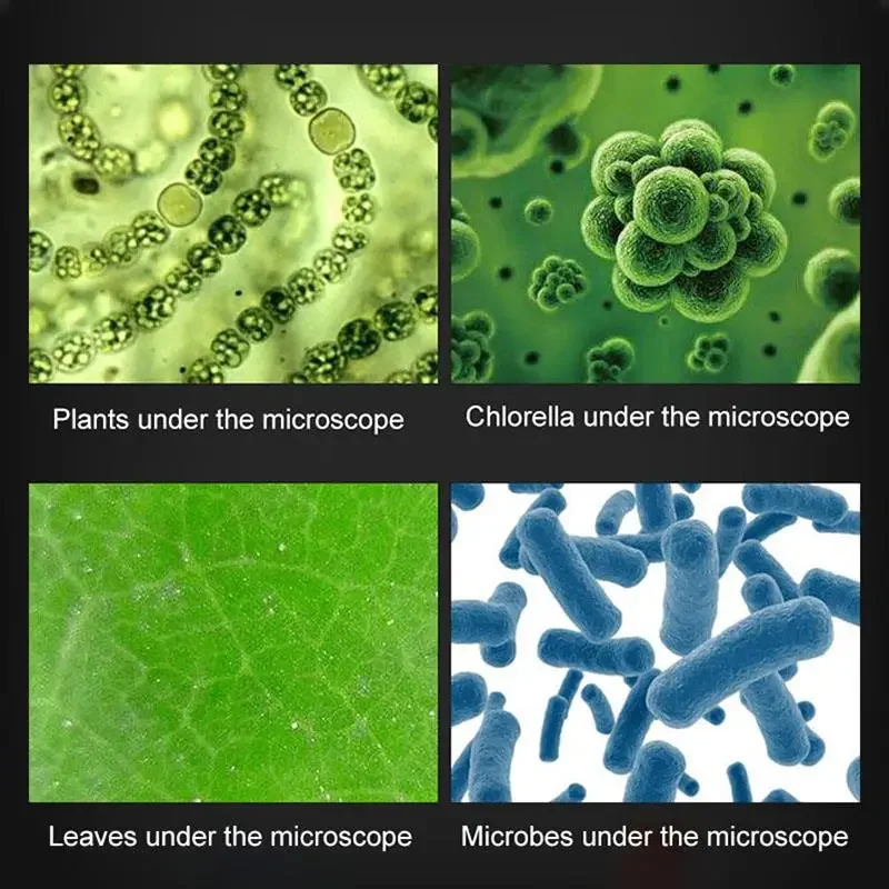

100X 400X 1200X Microscope Compound LED Student Science Lab Kit With Phone Holder