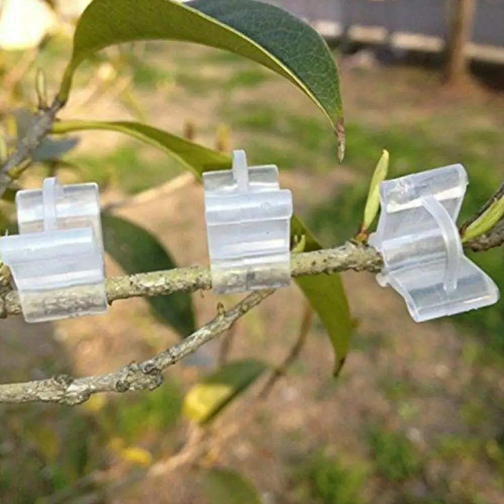 50/100 Pcs Vegetable Fruit Grafting Clip Watermelon Strawberry Tomato Transparent Plant Support Clamp Gardening Accessories grafting clamps