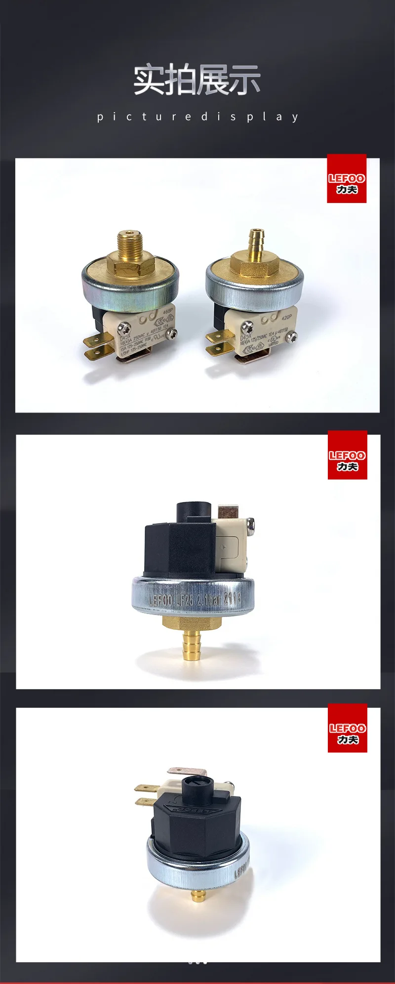LF25 Steam Pressure Switch
