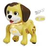Remote Control Robot Pet Toy LED Music Animal Toy Toddlers Crawling Learning Toy 3
