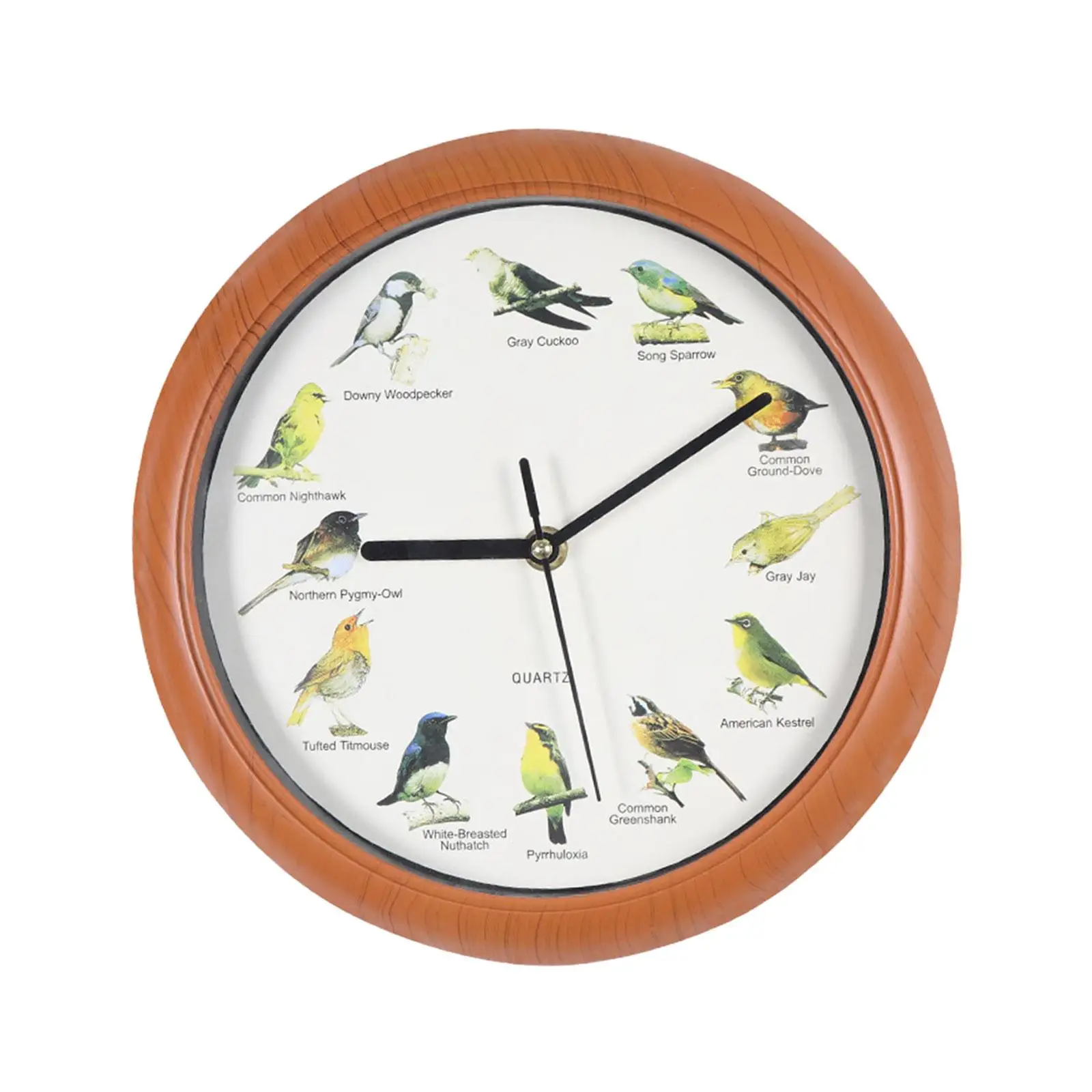Singing Bird Wall Clock, Bird Clocks Wall Clocks Hanging Clock Decor, Decorative Wall Clocks for Walls Kitchen Home Decor