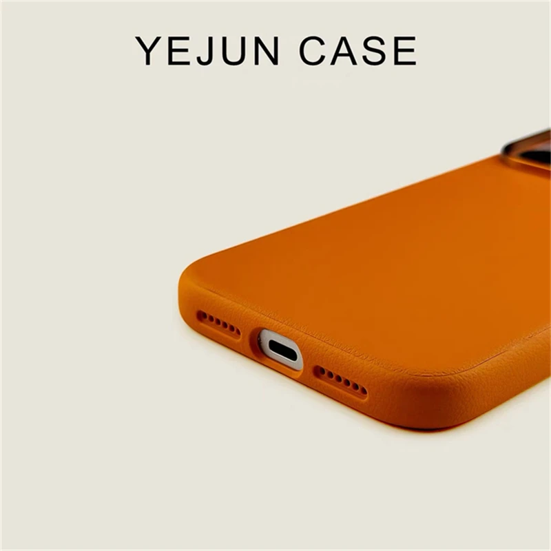 Magnetic Leather Luxury Case with Silicone Border and AI Button Bumper
