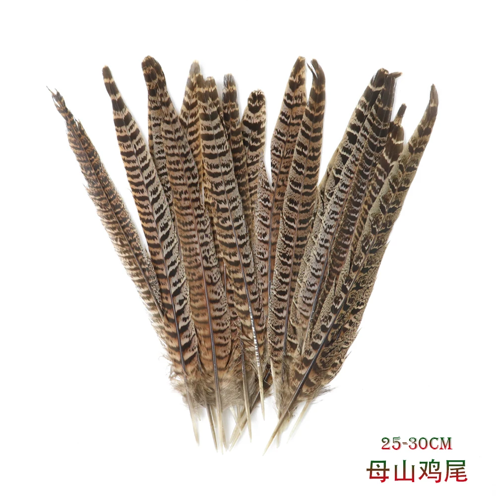 10pcs 25-30cm Natural Pheasant Tail Feathers 1