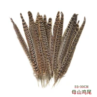 10pcs 25-30cm Natural Pheasant Tail Feathers 1