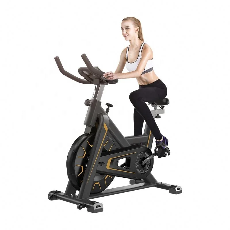 

Training Sport Bike Exercise Magnetic Resistance Professional Spinning Bike
